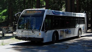 A shuttle bus drives on a road through the forest.