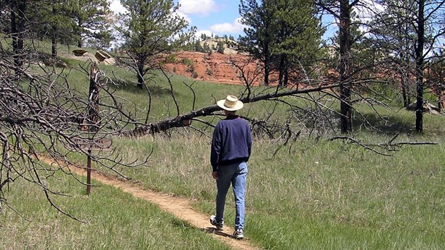 Trail winding through grass and trees with man walking and red cliffs in the background