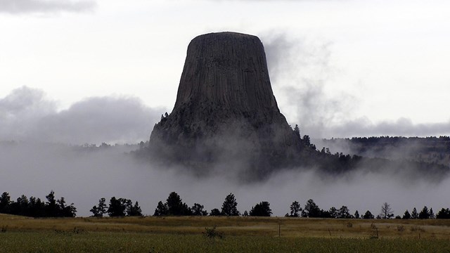 A view of the Tower and a prairie with log covering fog and a cloudy sky.