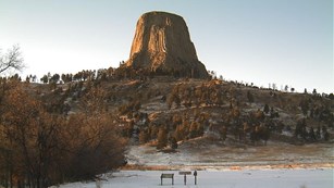 A grassy field with a deer and snow covered cliffs in background