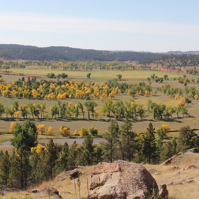 A view down into a river valley with green and yellow-leaved trees.