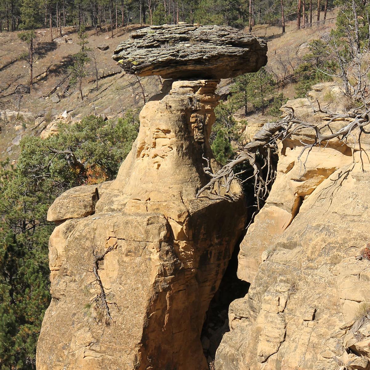 A hoodoo - a pillar of softer rock capped by a harder substance