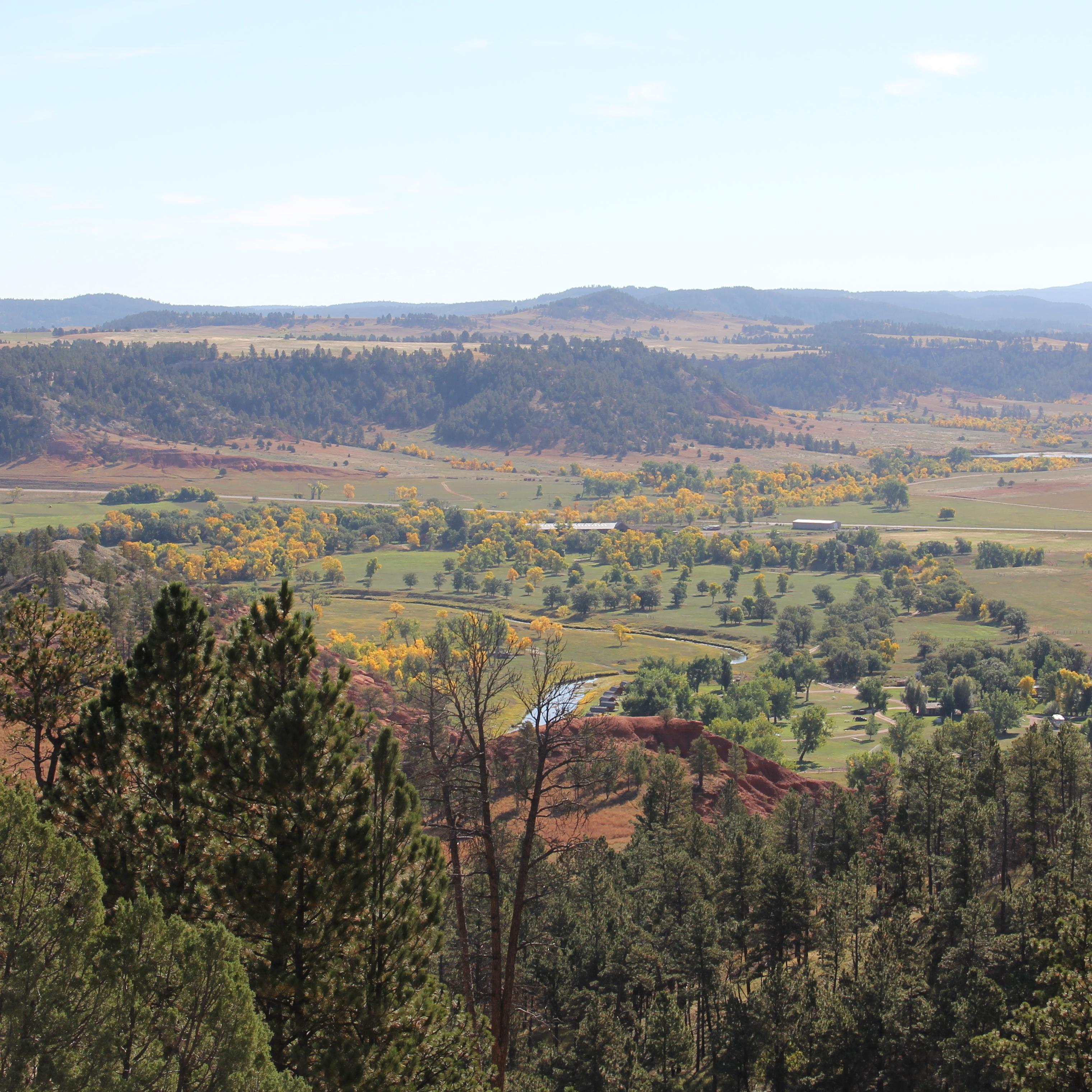 A view of a river valley with trees throughout