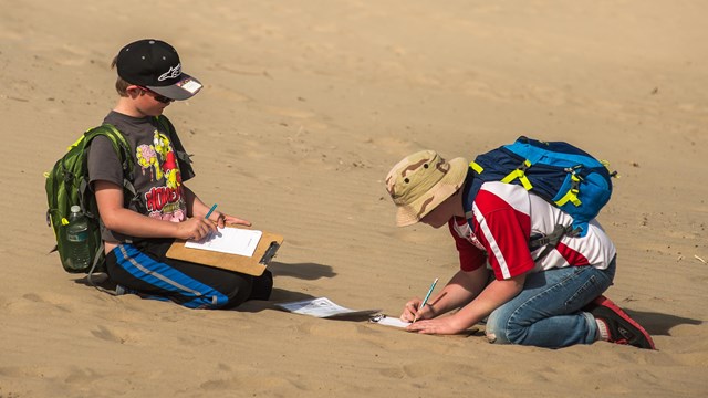 Two students writing observations while sitting on the sand.