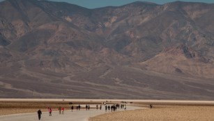 Park visitors enjoy sightseeing
