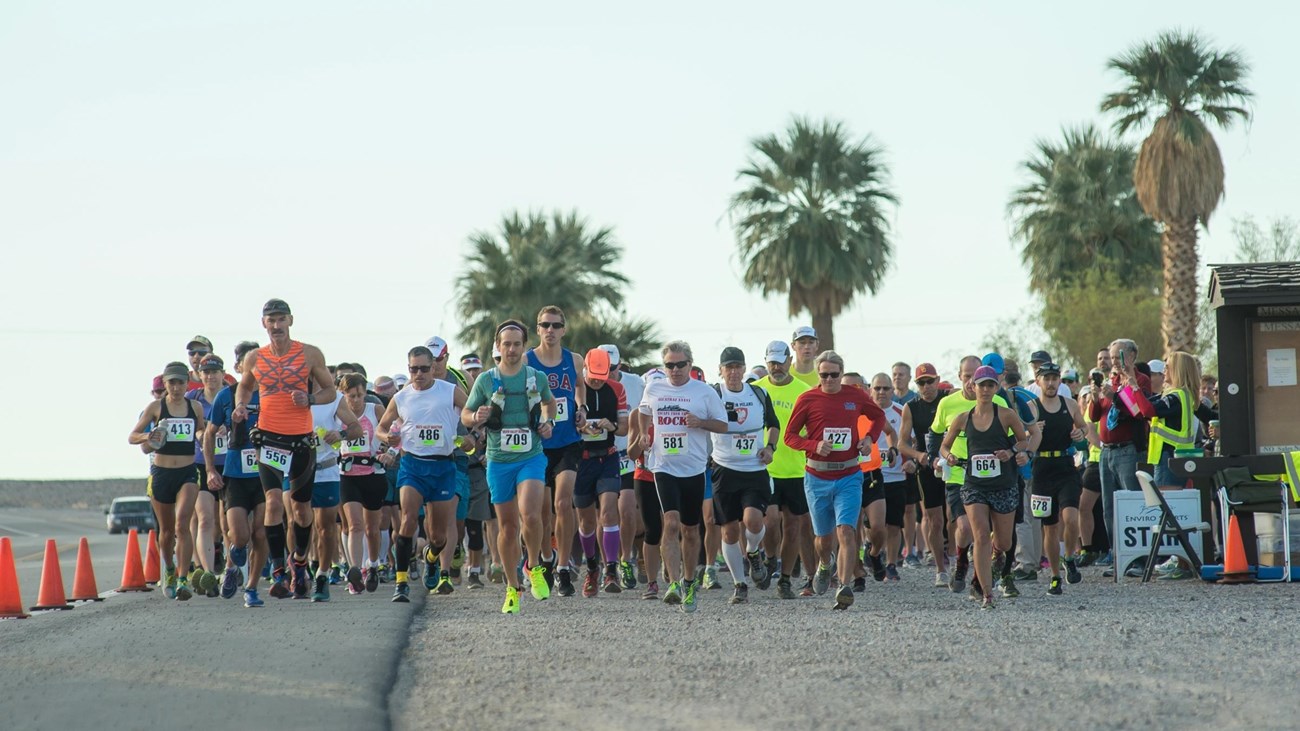 A group of runners in a race on a highway. 