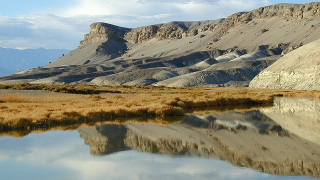 The sky reflects in a still pool of water with grassy vegetation leading to desert mountains. 