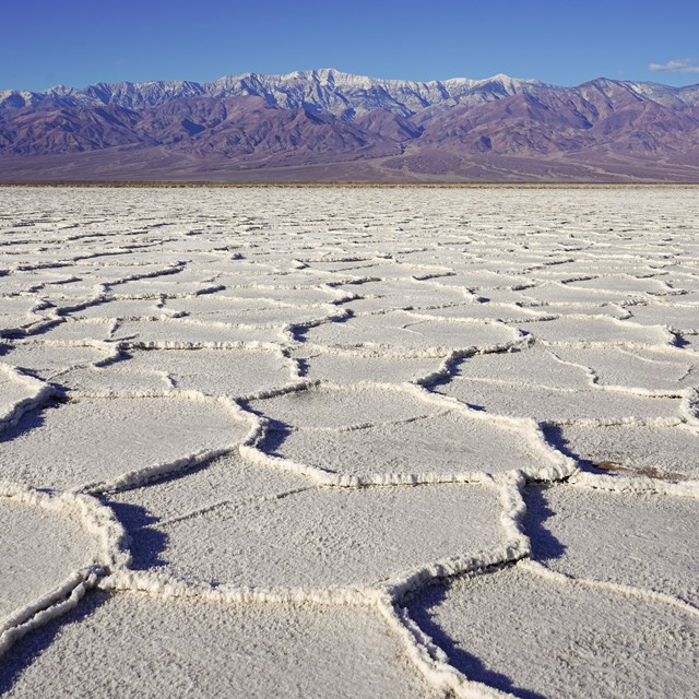 salt flats cracked in polygons with distant mountains