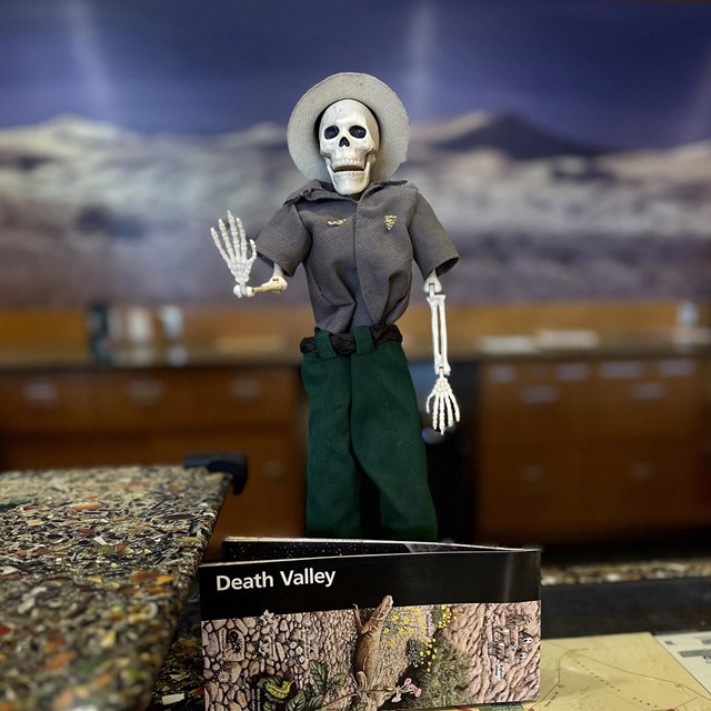A skeleton doll dressed in a green and gray park ranger uniform stands waving behind a map.