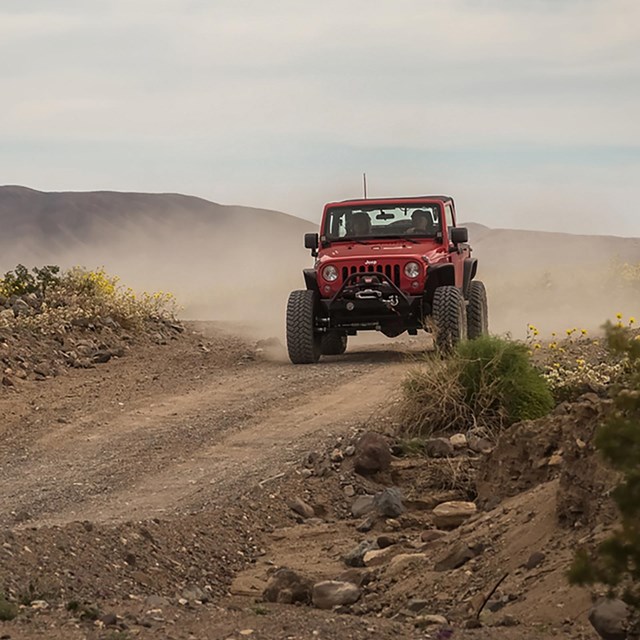 A red Jeep drives on an unpaved road through a desert landscape with yellow wildflowers, green brush