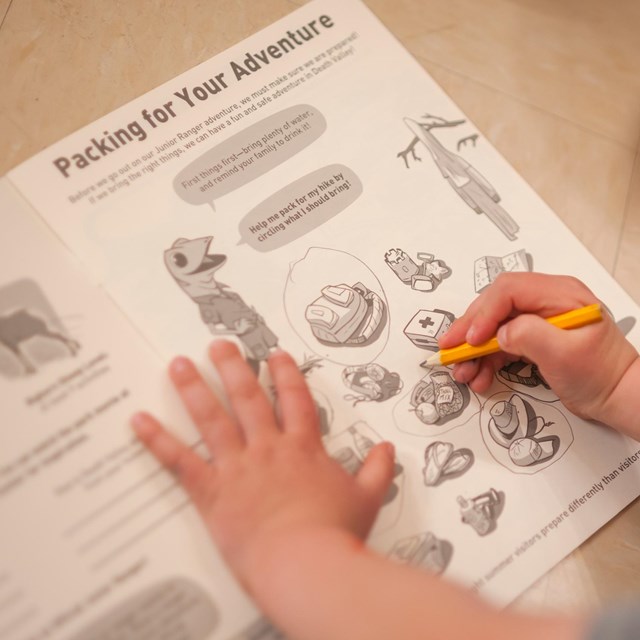 An over-the-shoulder view of a child working on their Jr. Ranger Book