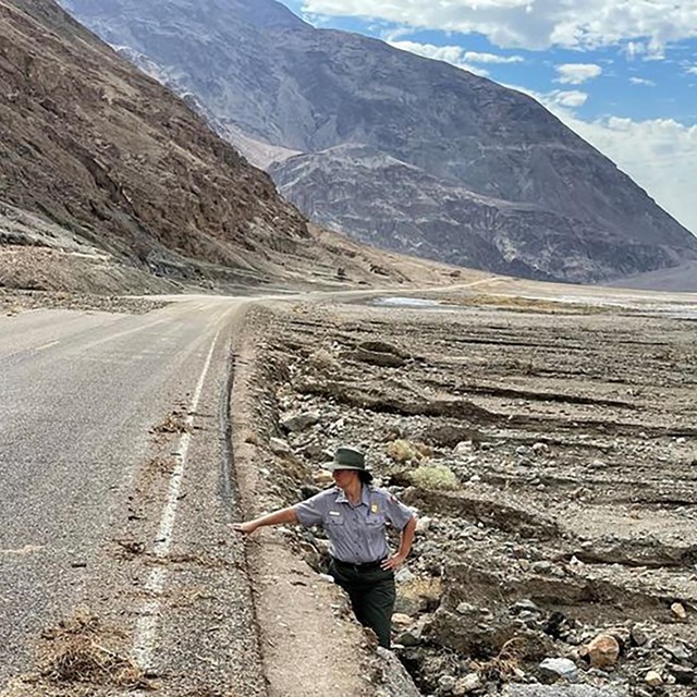 Park spokesperson Abby Wines stands in an eroded road shoulder along Badwater Road.