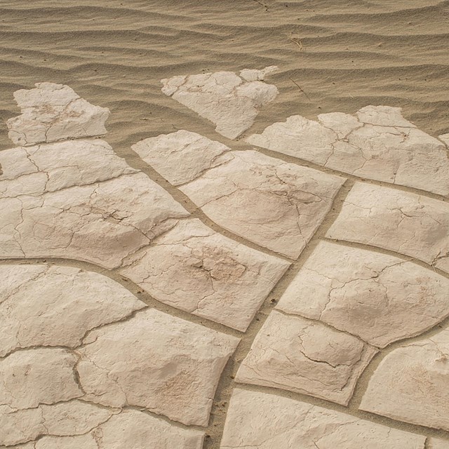 Close up of cracked mud leading into ripples of beige sand at Mesquite Flat Sand Dunes. 