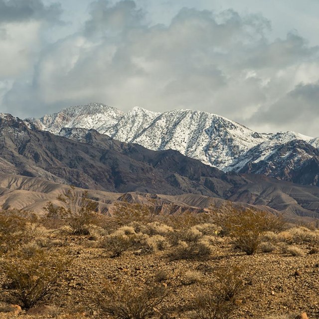 View of desert shrubland, dry hills, and high elevation mountains with snow.