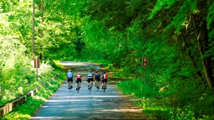 A team of bicyclists makes their way along Old mine Road in New Jersey. NPS Photo M. Cuff