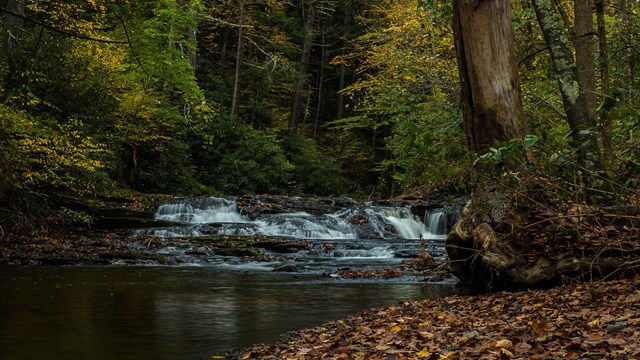 The Delaware Water Gap covered in autumn trees.