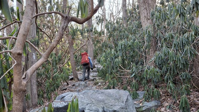 An Appalachian Trail thru-hiker in the early spring.