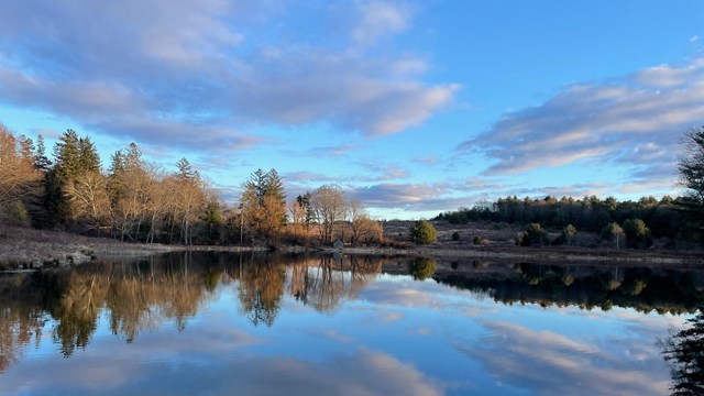 View of Loch Lomond in early spring.