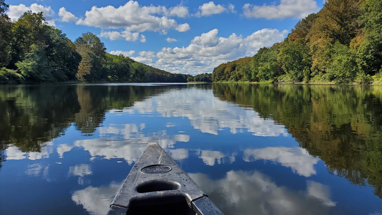 The Delaware River from a canoe on a summer day.