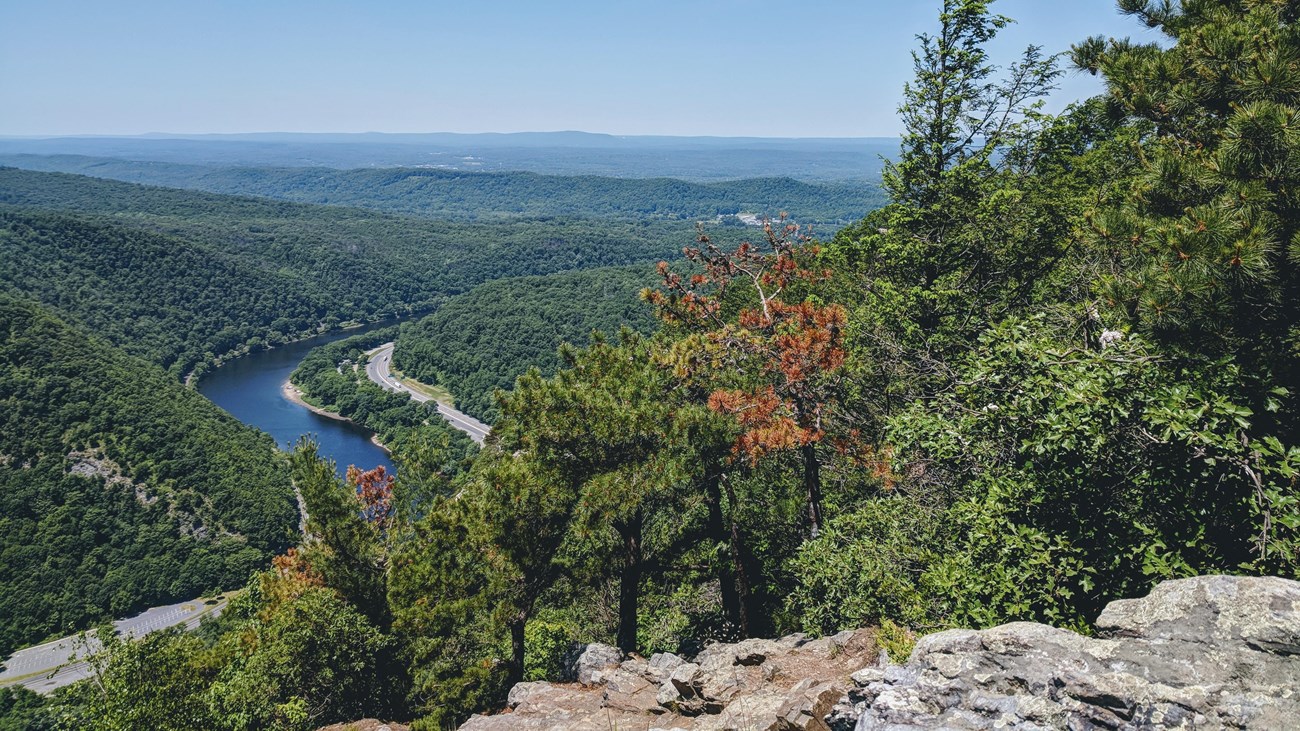 A few of the Delaware River and valley from the top of the gap.