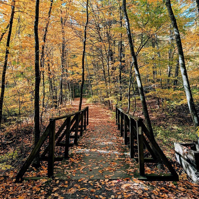 A wooden bridge in the fall surrounded by autumn leaves.