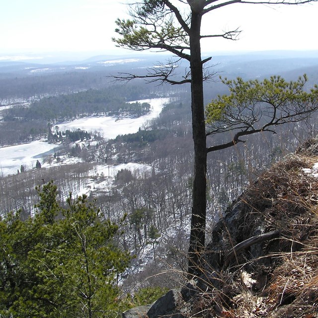 A view from the Appalachian Trail of a snowy valley below.