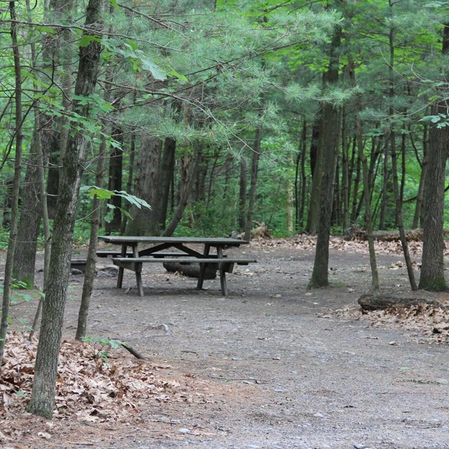 A picnic table in a wooded campsite.