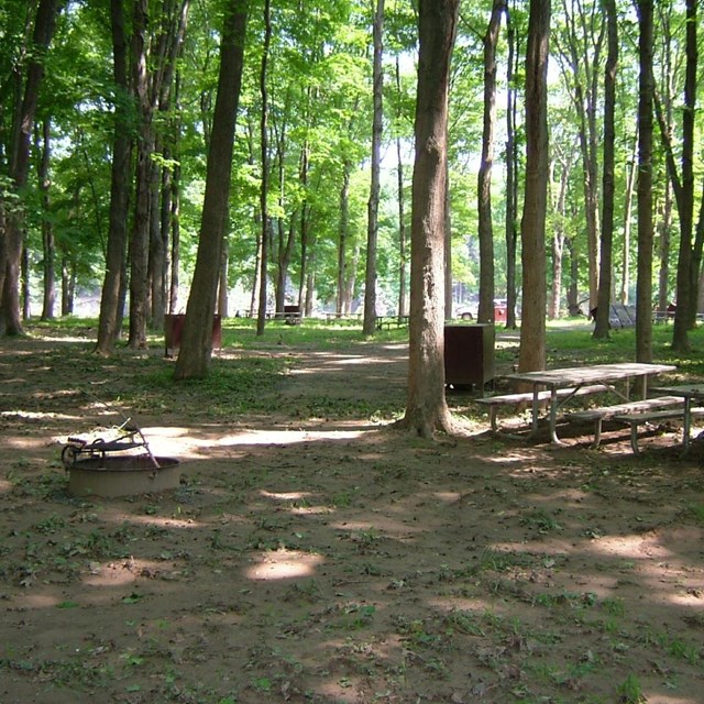 A picnic table in a large wooded area.