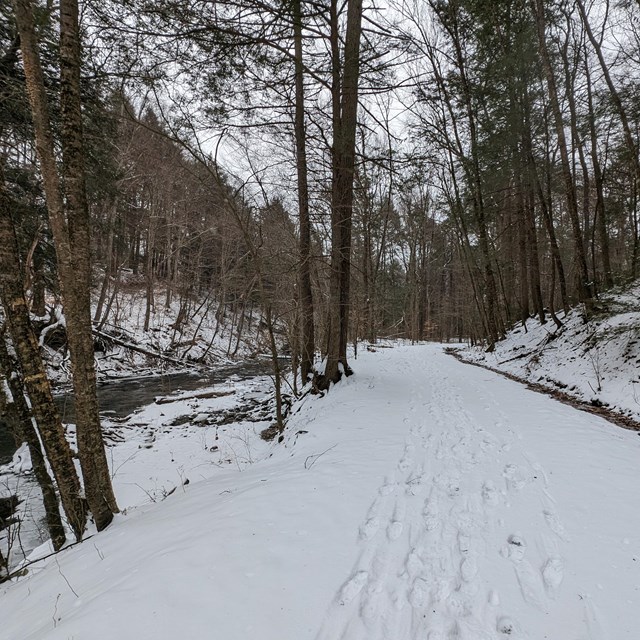 A snow-covered trail next to a creek.