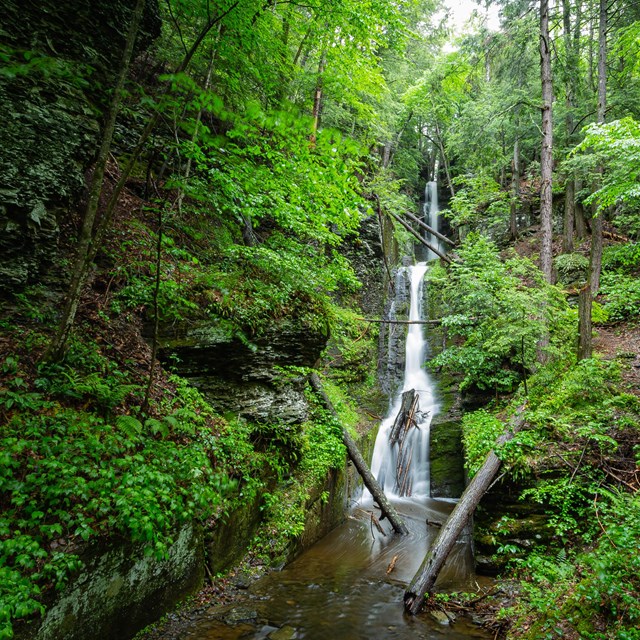 Silver Thread Falls is a narrow waterfall that can be found along the Dingmans Falls Trail