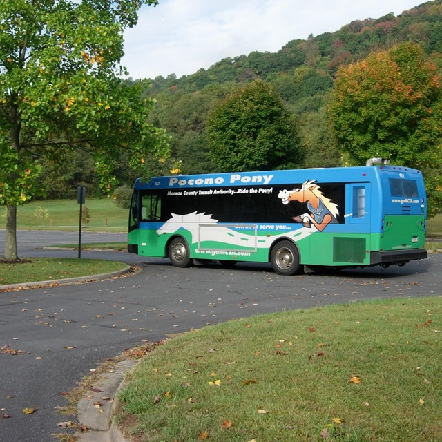 A bus in a large parking lot surrounded by leaves.