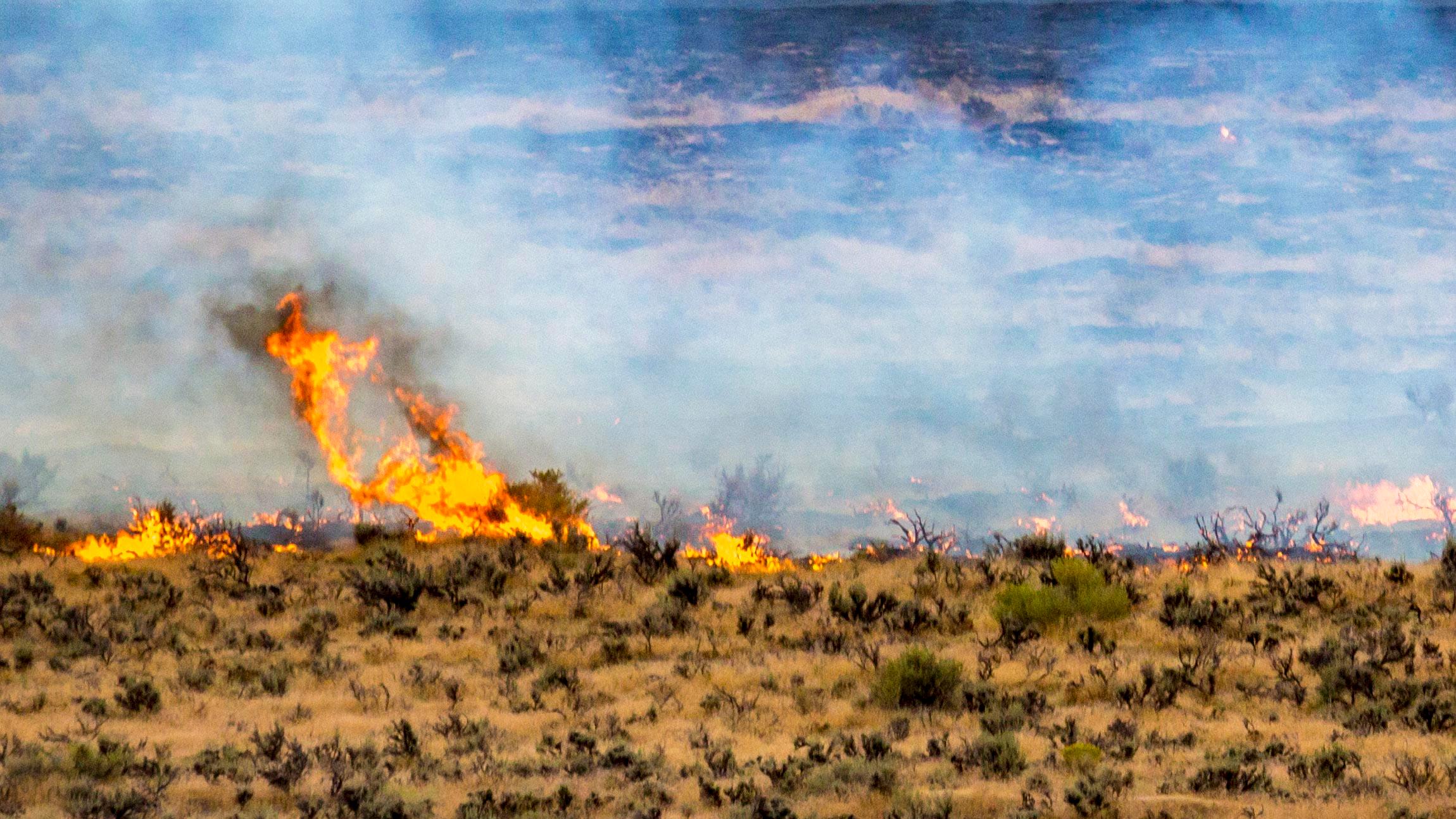 People watch a flaming sagebrush flat from a distance. The air is gray with smoke.