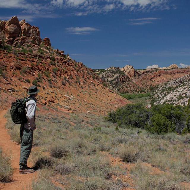 Hiker standing on trail gazing off at multi-colored cliffs