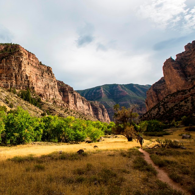 A hiker on a trail surrounded by towering cliffs