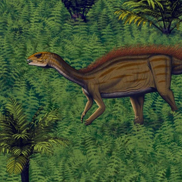 A small, bipedal dinosaur with hairlike quills running down its back.