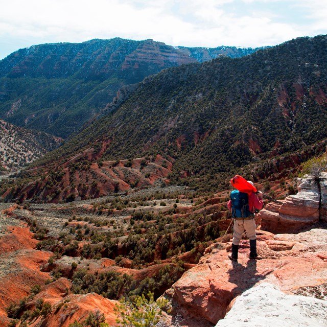 Man standing on a rock overlooking a valley of colorful rock layers.