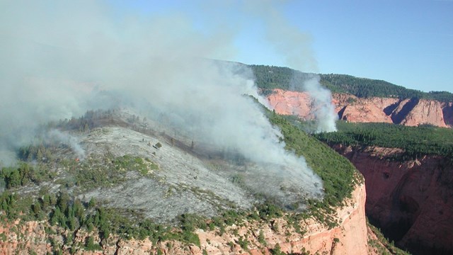 Smoke rises from fires on a forested bluff