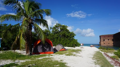 Tents set up on a sandy beach with vegetation, the ocean, and a brick structure