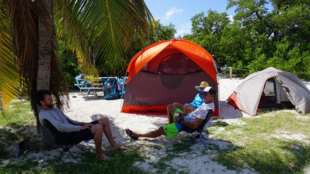 People sitting in chairs besides tents and a palm tree on a beach