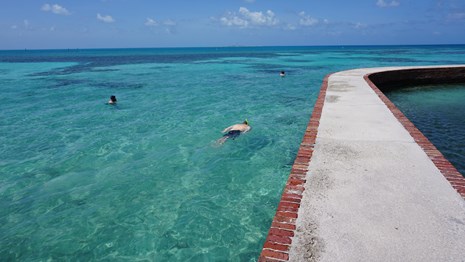 2 people swim in the ocean beside a brick and cement walkway