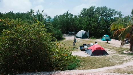 Tents are set up on Garden Key