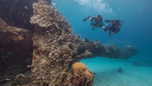 Two divers swim by the underwater Windjammer Wreck.