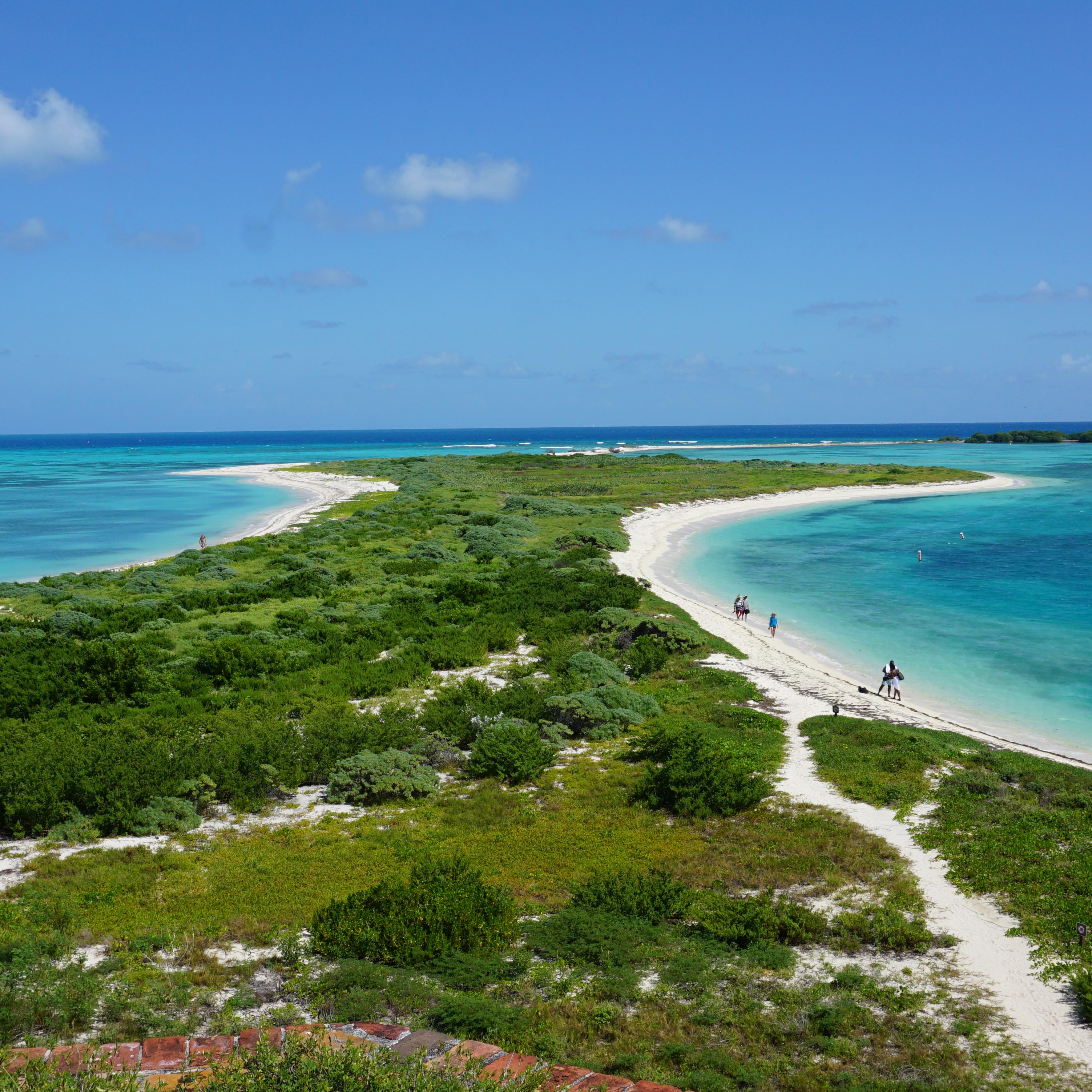 An island with shrubbery and sand surrounded by blue ocean waters