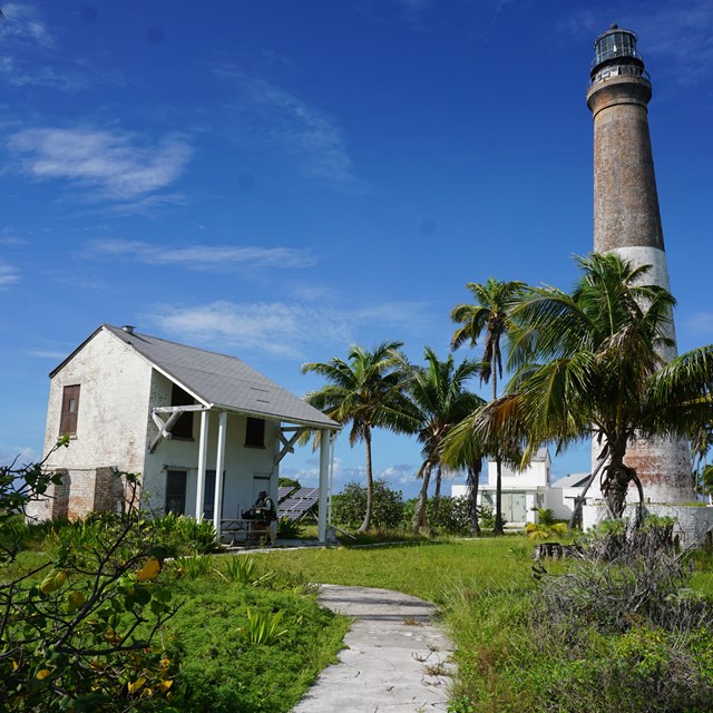 A lighthouse and cottage surrounded by palm trees