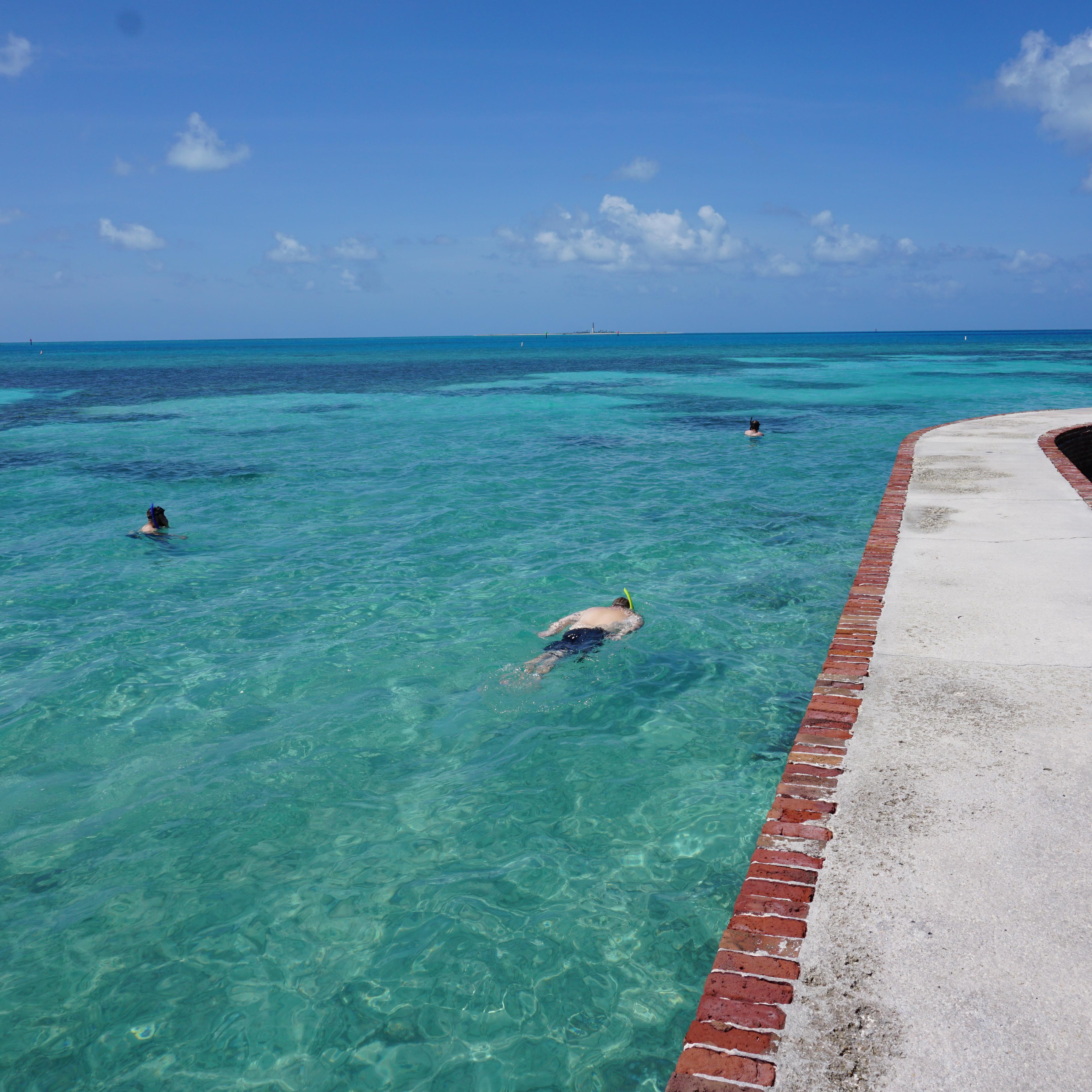2 people swim in the ocean beside a brick and cement walkway