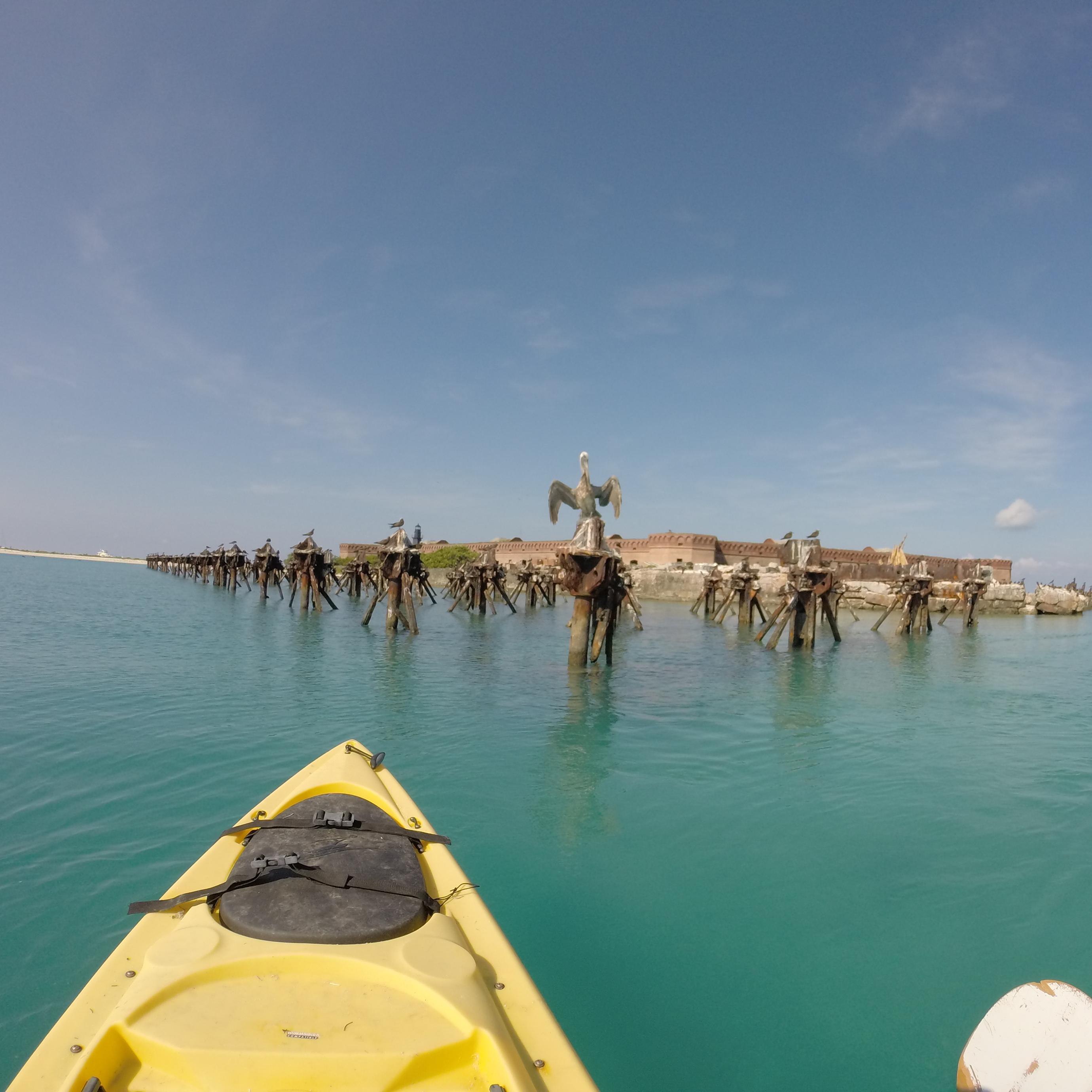 Pilings of a pier and a sea wall