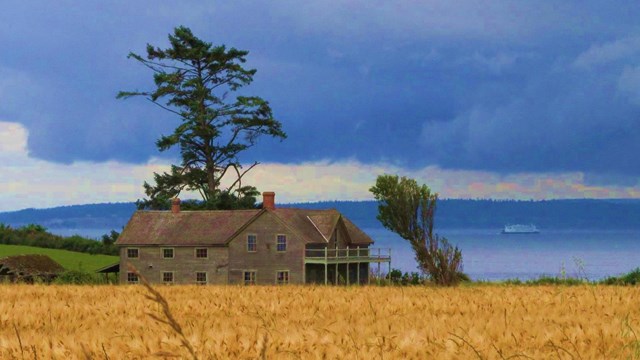 Ferry House and Admiralty Inlet