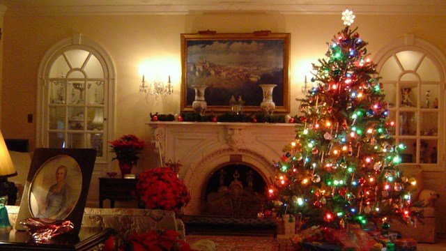 A Christmas tree with multicolor lights in the right of the Eisenhower living room.