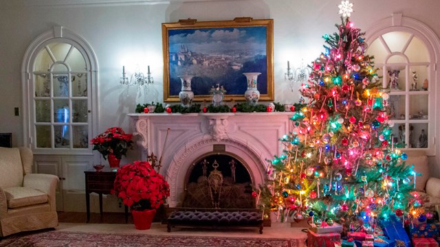 A formal living room is decorated for Christmas. 