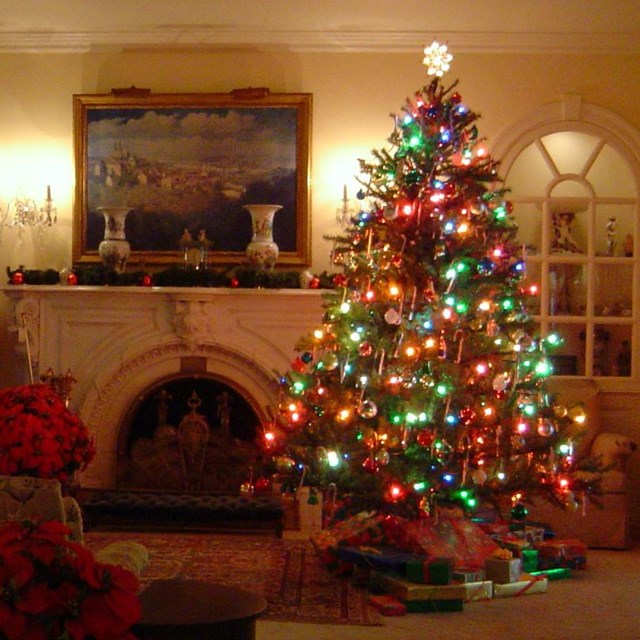 A Christmas tree with multicolor lights in the right of the Eisenhower living room.